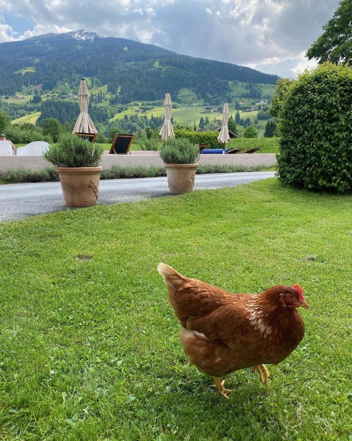 Landhaus Angerhof บาดฮอฟกัสไตน์ ภายนอก รูปภาพ